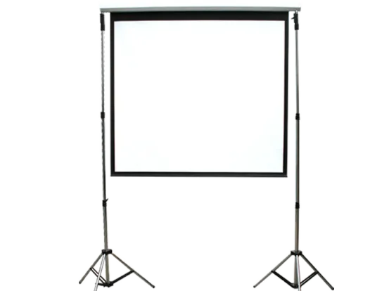 Elektr. Leinwand 3,50 m
