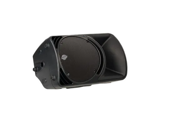 Mackie SRM 450 V2 