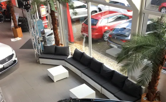 Palmen gro&szlig; mit Beleuchtung