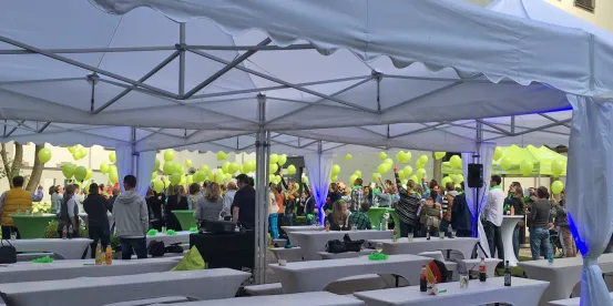 Mastertent 10 x 10m VL