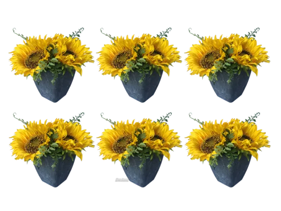 Sonnenblumen 6er Set 