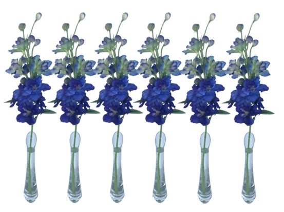 Rittersporn 6er Set