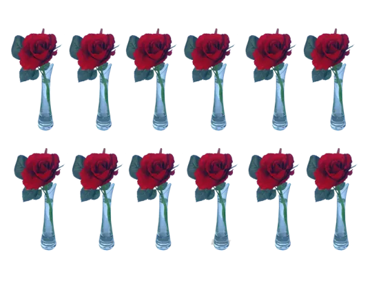 rote Rose 12er Set