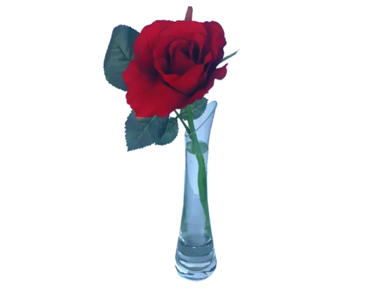 rote Rose 12er Set