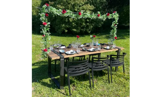 rote Rose 12er Set