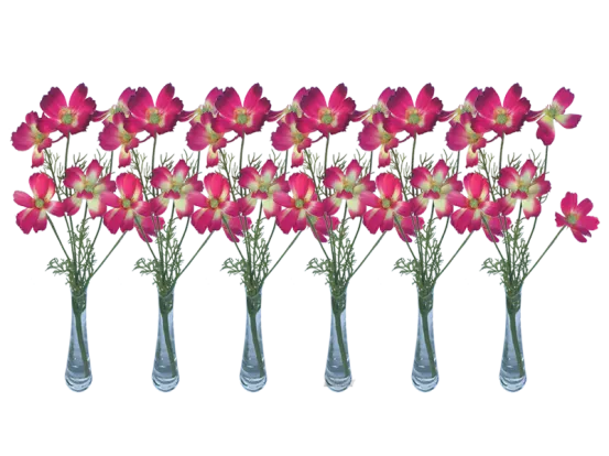 Schmuckk&ouml;rbchen pink 6er Set
