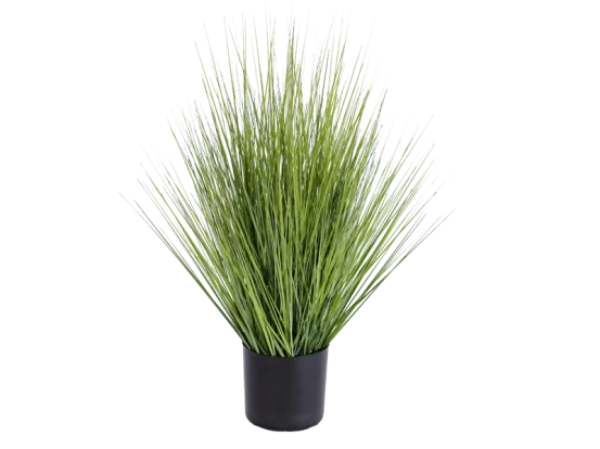 Grasbusch &Oslash; 45 cm