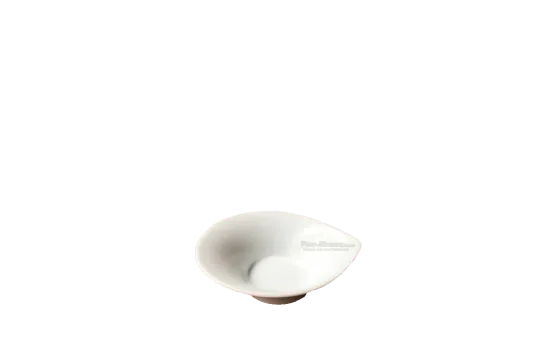 Dip-Sch&auml;lchen Tafelstern