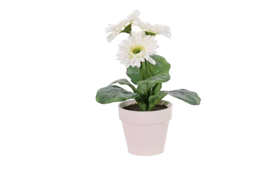 Gerbera-Kunstblumen Wei&szlig; 6er Set  