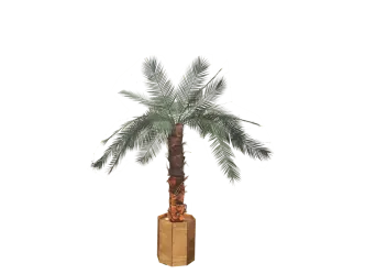 Palmen klein mit Beleuchtung