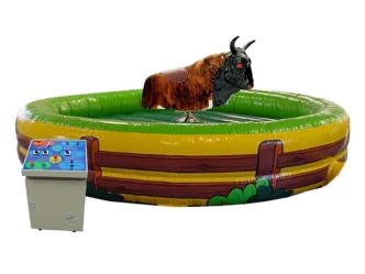 Bullriding 