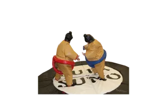 Sumo Ringen