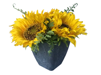 Sonnenblumen 6er Set 