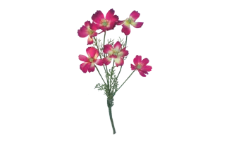 Schmuckk&ouml;rbchen pink 6er Set