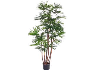 BabyFan Palme 1,6 m