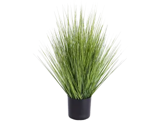 Grasbusch &Oslash; 45 cm