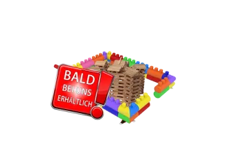 Holzbausteine XXL Bandenspa&szlig;