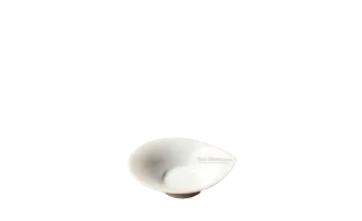 Dip-Sch&auml;lchen Tafelstern