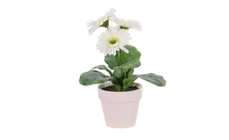 Gerbera-Kunstblumen Wei&szlig; 6er Set  